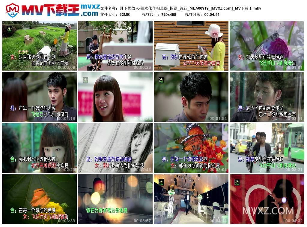 月下思故人-泪水化作相思蝶_国语_流行_MEA00919